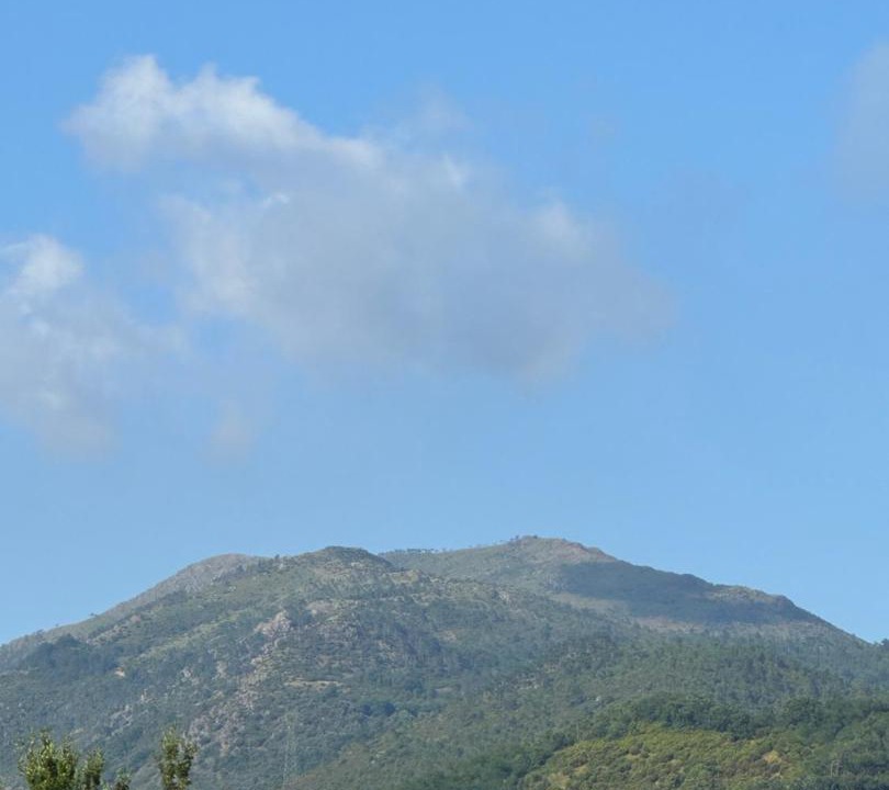 Photo of Others in Cogoleto