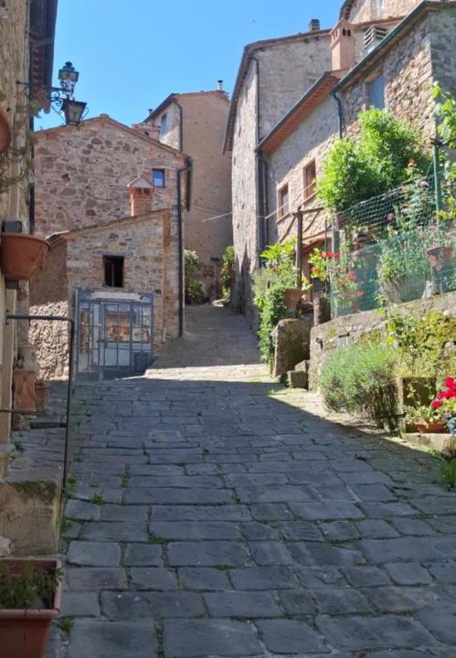 Photo of Others in Castelnuovo di Val di Cecina