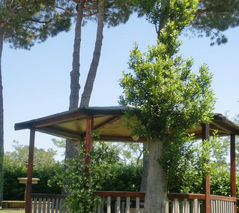 Photo of Others in Montefiascone