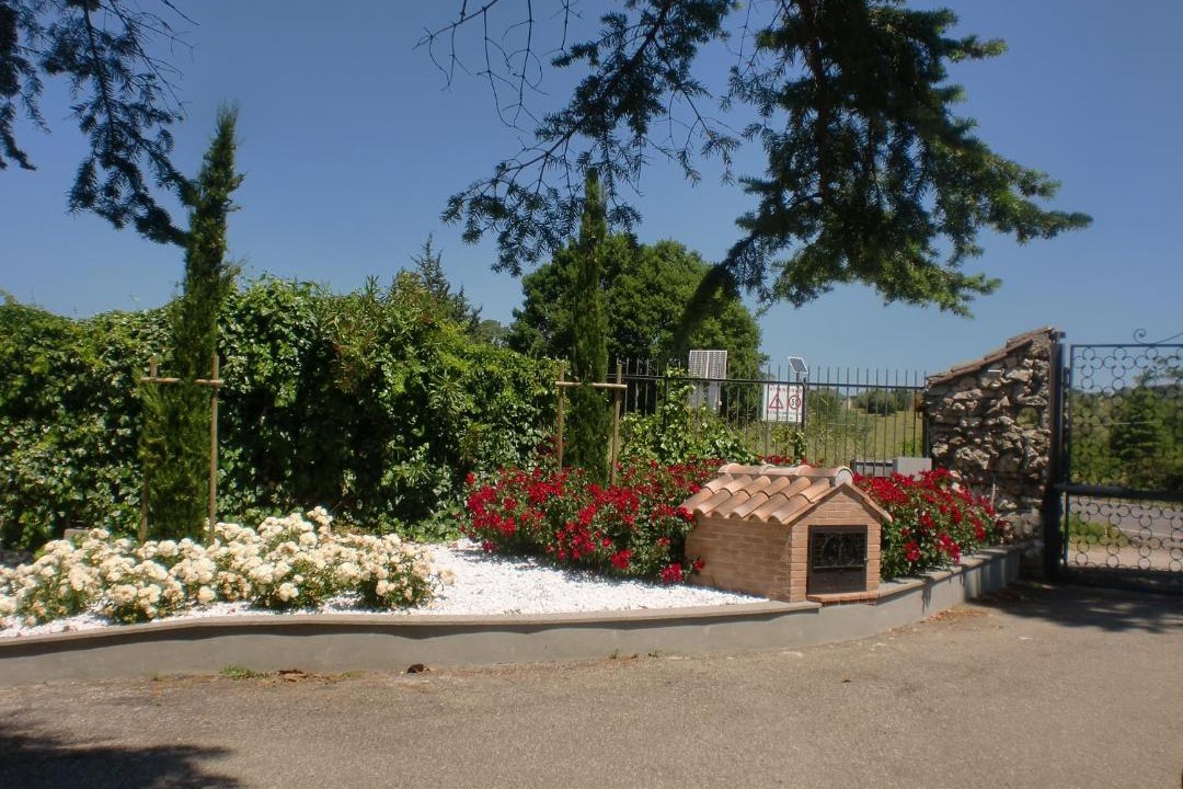 Photo of Buildings in Montefiascone