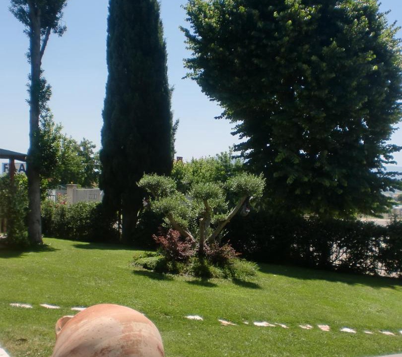 Photo of Others in Montefiascone