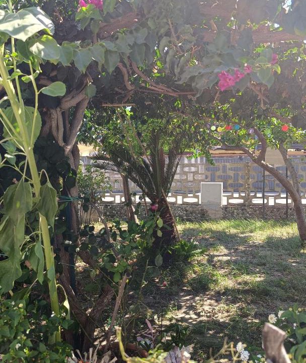 Photo of Outdoor in Roccelletta