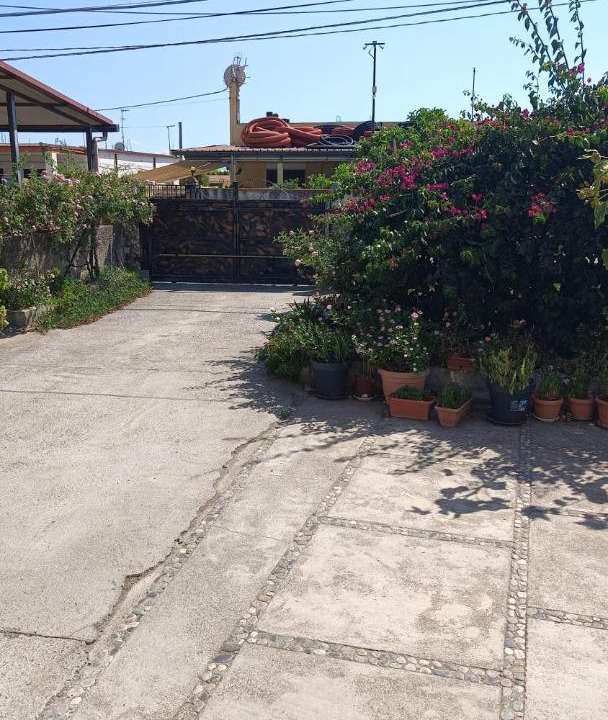 Photo of Others in Roccelletta
