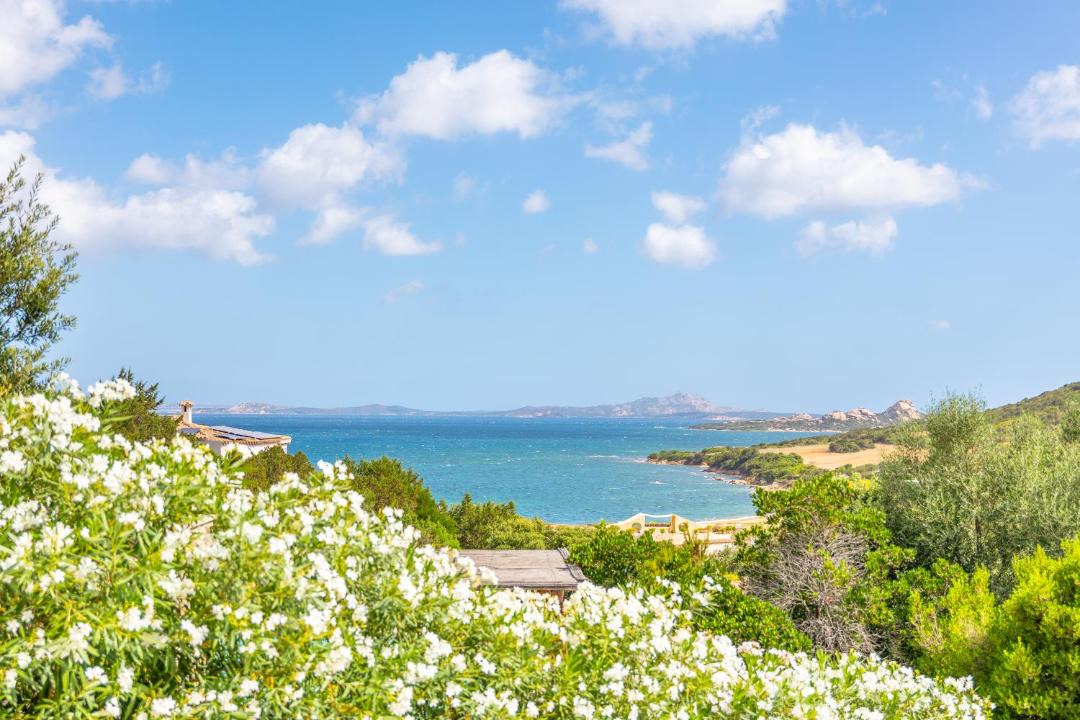 Photo of Others in Baja Sardinia