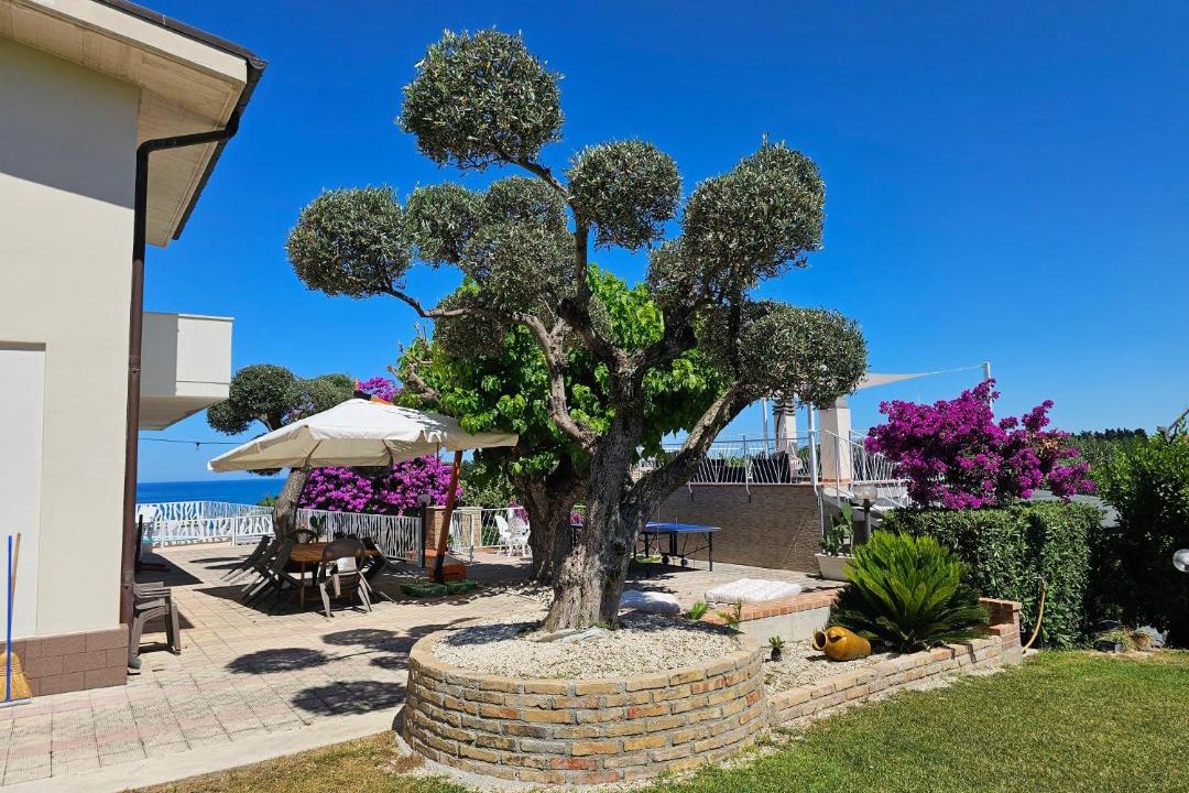 Photo of Others in Ortona