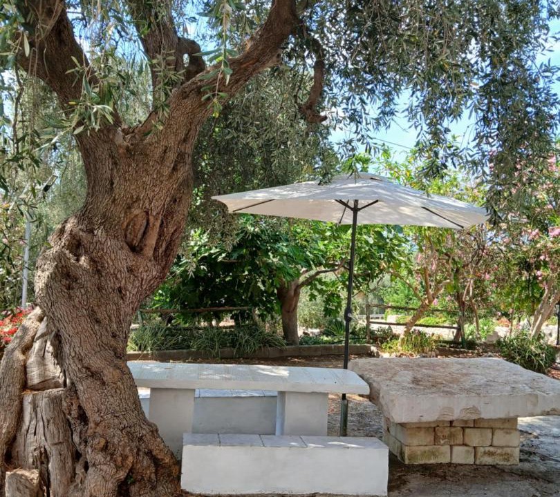 Photo of Others in Ischitella