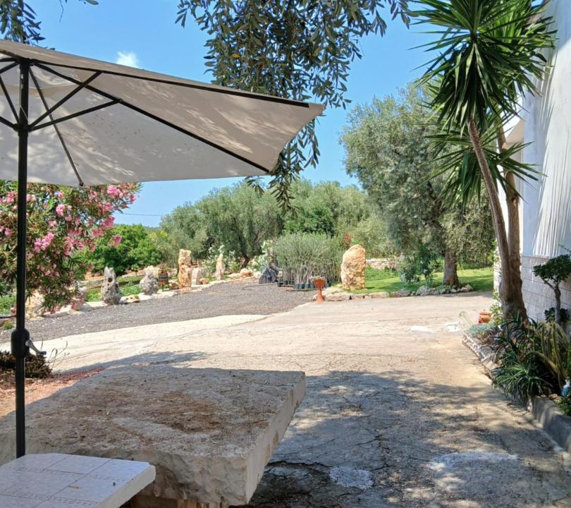 Photo of Others in Ischitella
