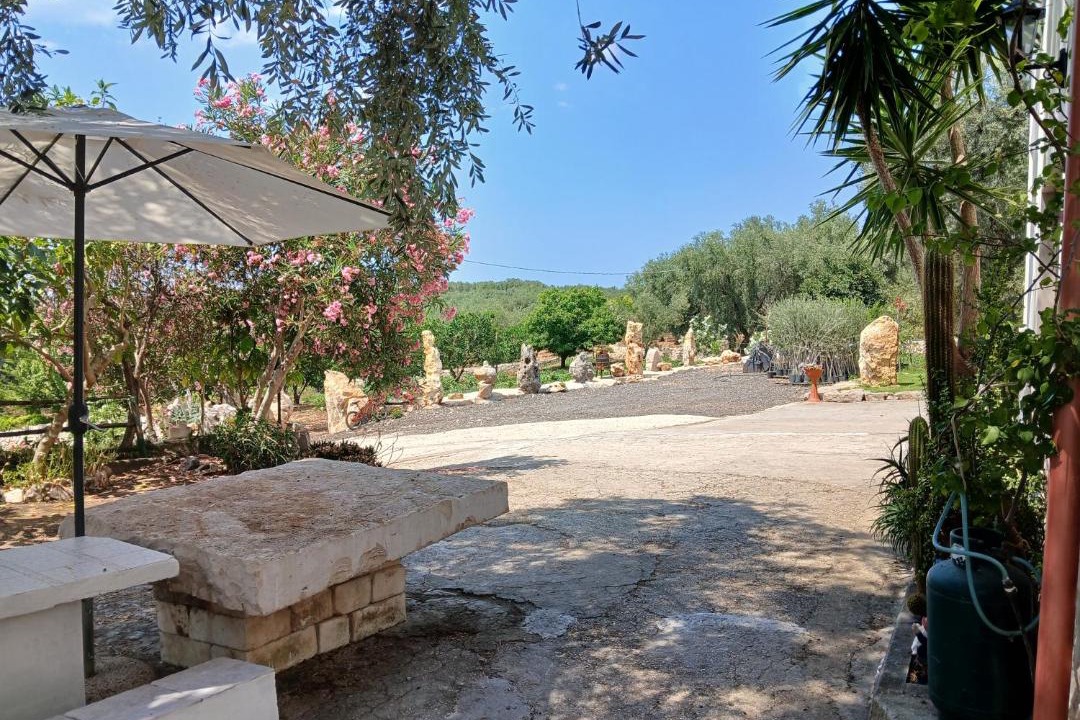 Photo of Others in Ischitella