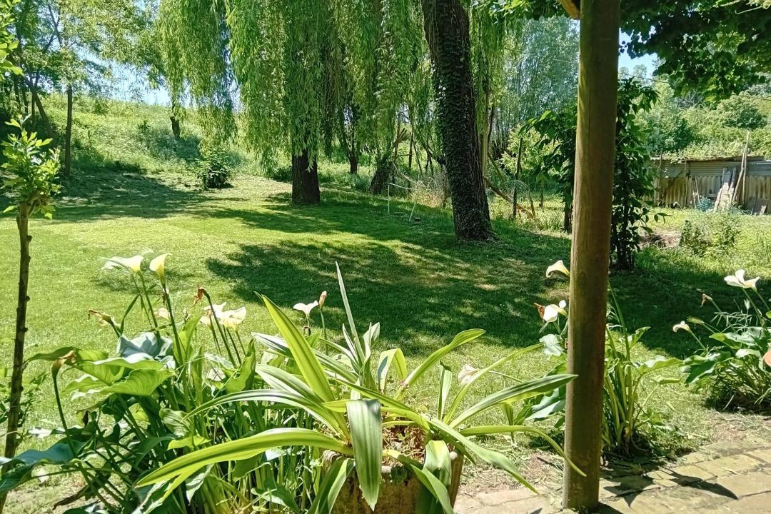 Photo of Others in Cavarzere