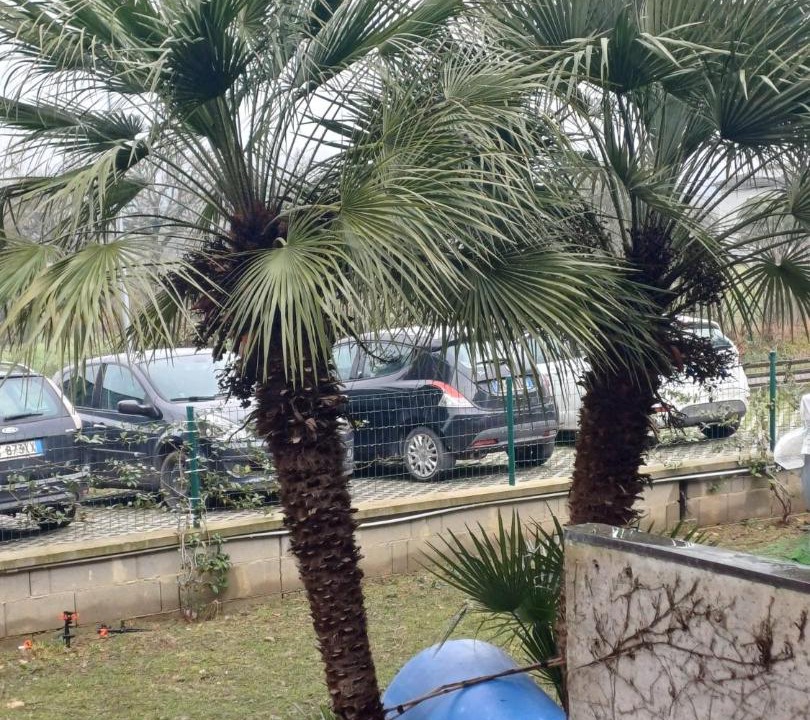 Photo of Outdoor in Guzman