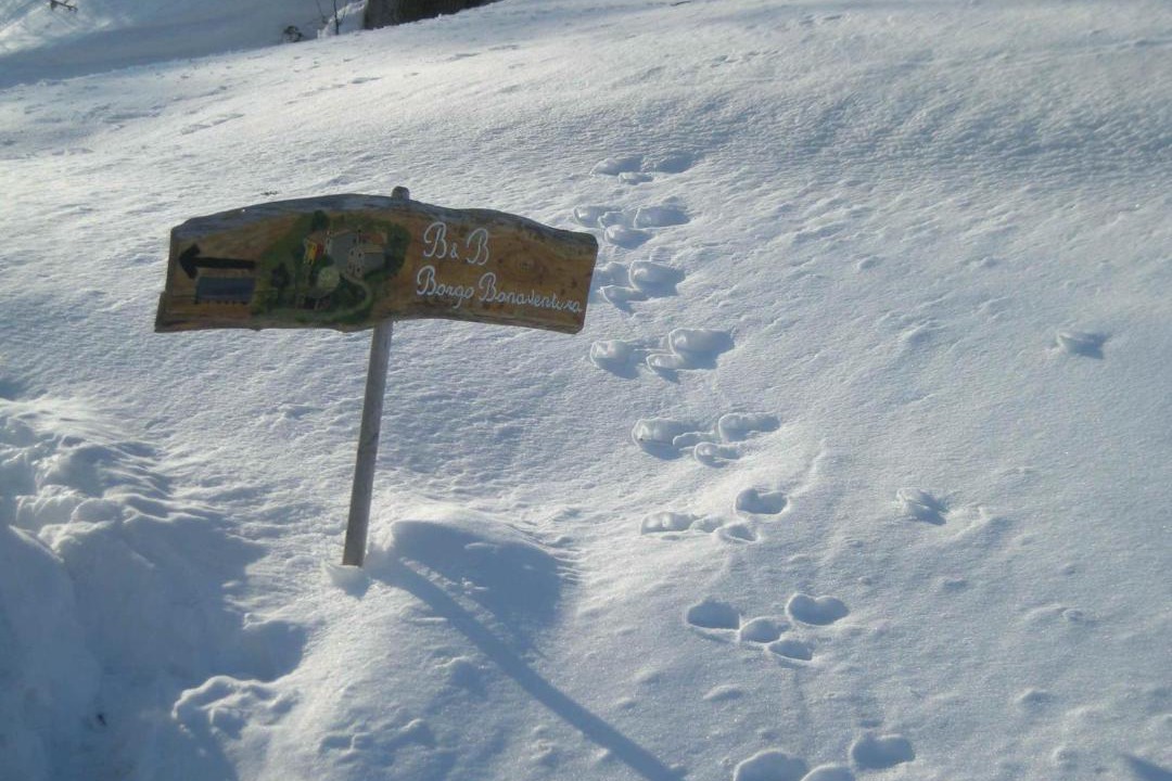 Photo of Others in Avacelli