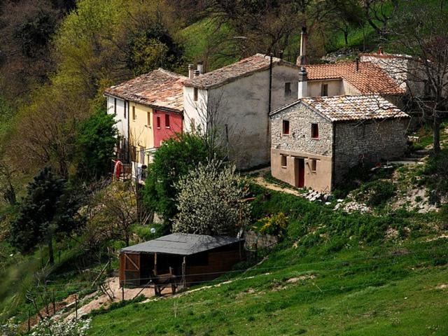 Photo of Buildings in Avacelli