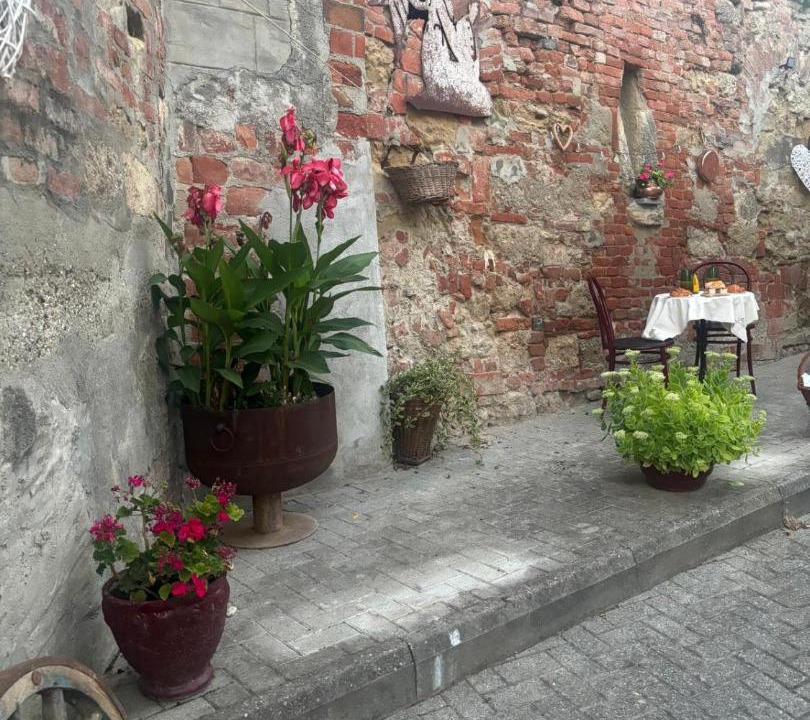Photo of Others in Camagna Monferrato