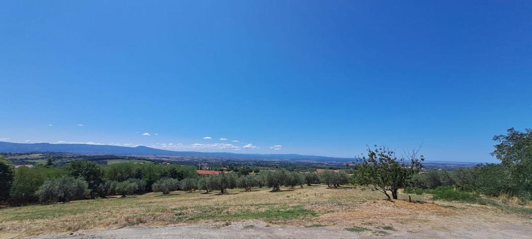 Photo of Others in Montefiascone