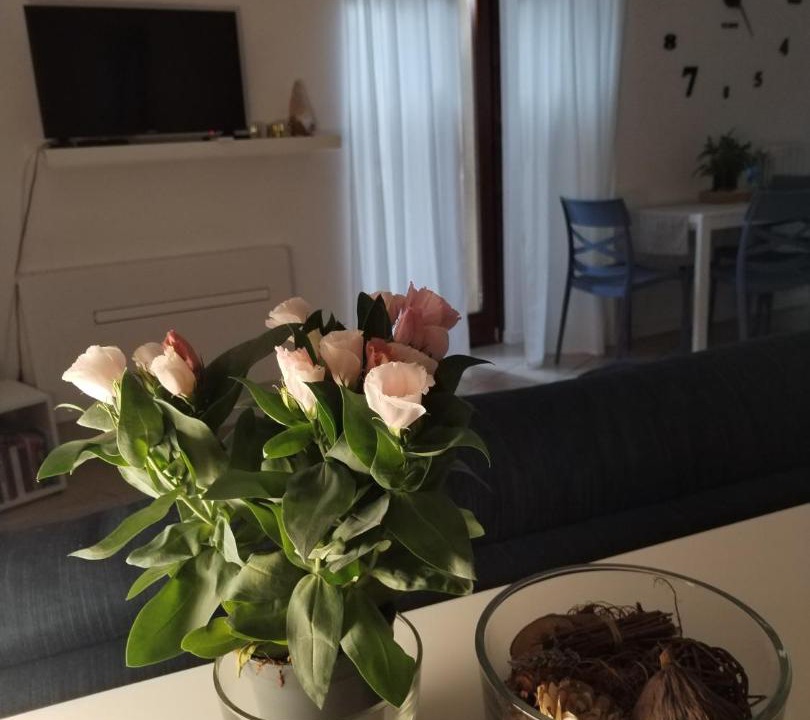 Photo of Livingroom in Omegna