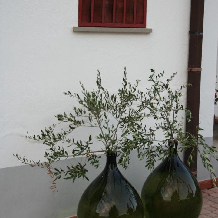 Photo of Others in San Nicolo a Tordino
