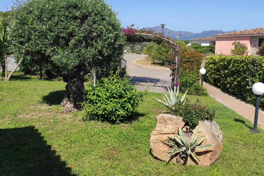 Photo of Others in Tanaunella