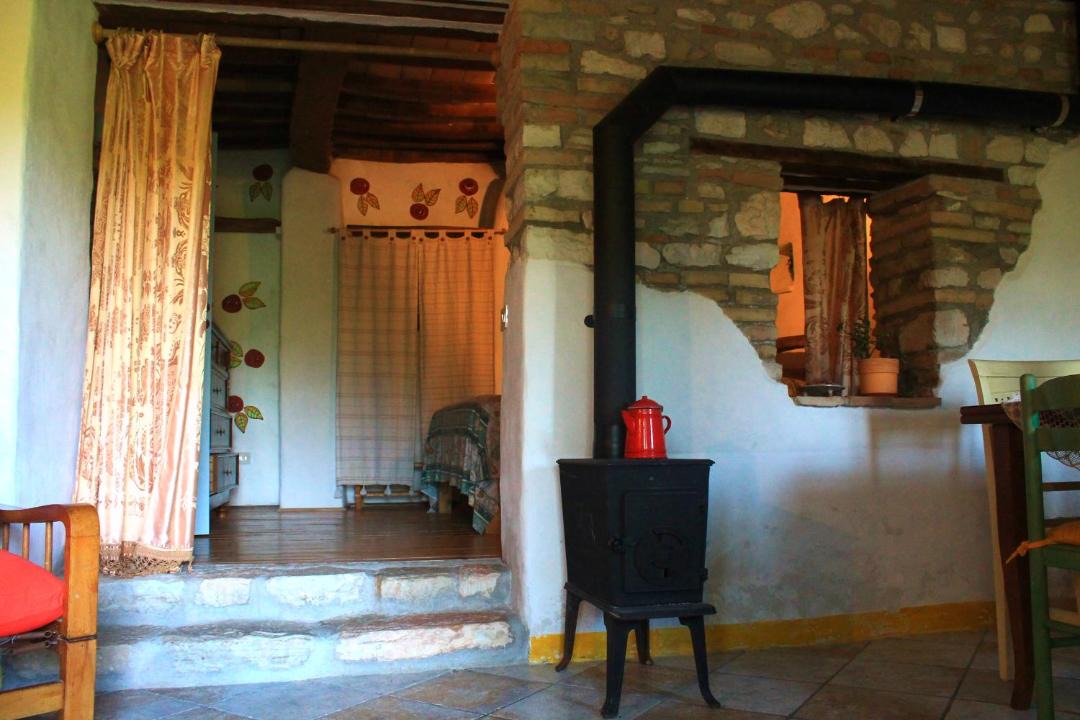 Photo of Others in Avacelli
