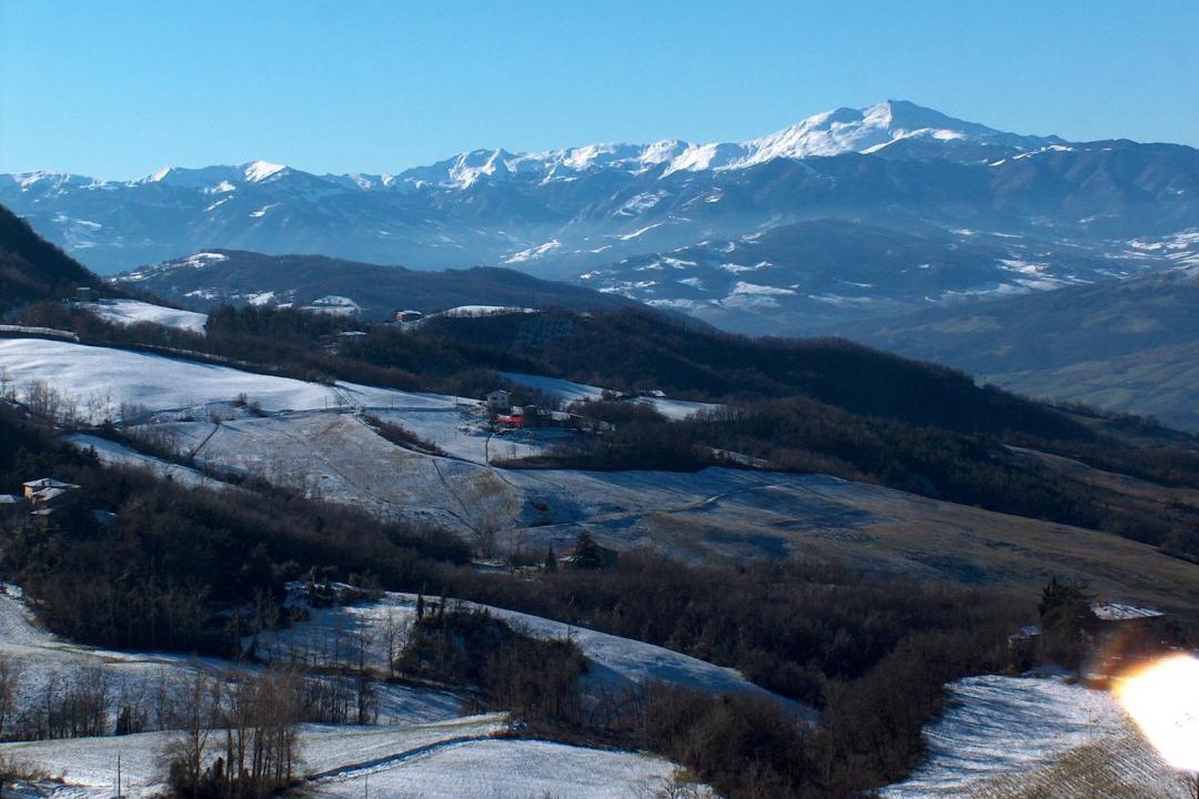 Photo of Others in Zocca