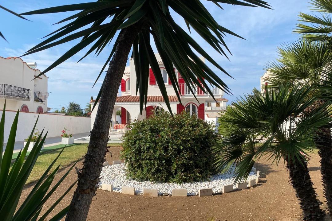 Photo of Others in Bisceglie