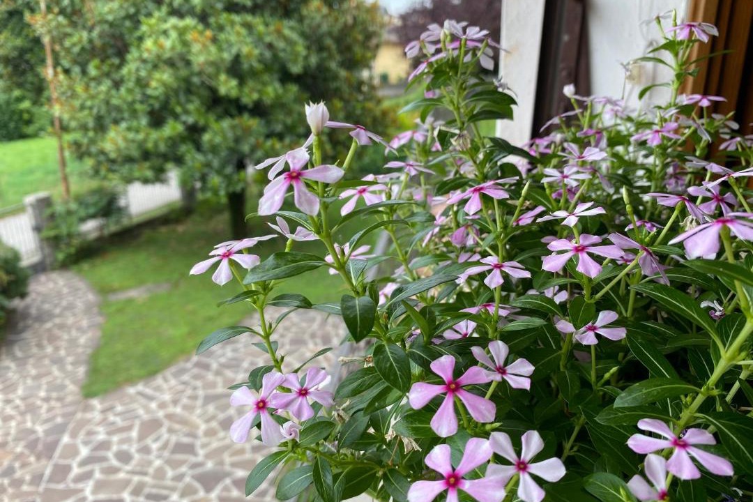 Photo of Others in Pieve di Soligo