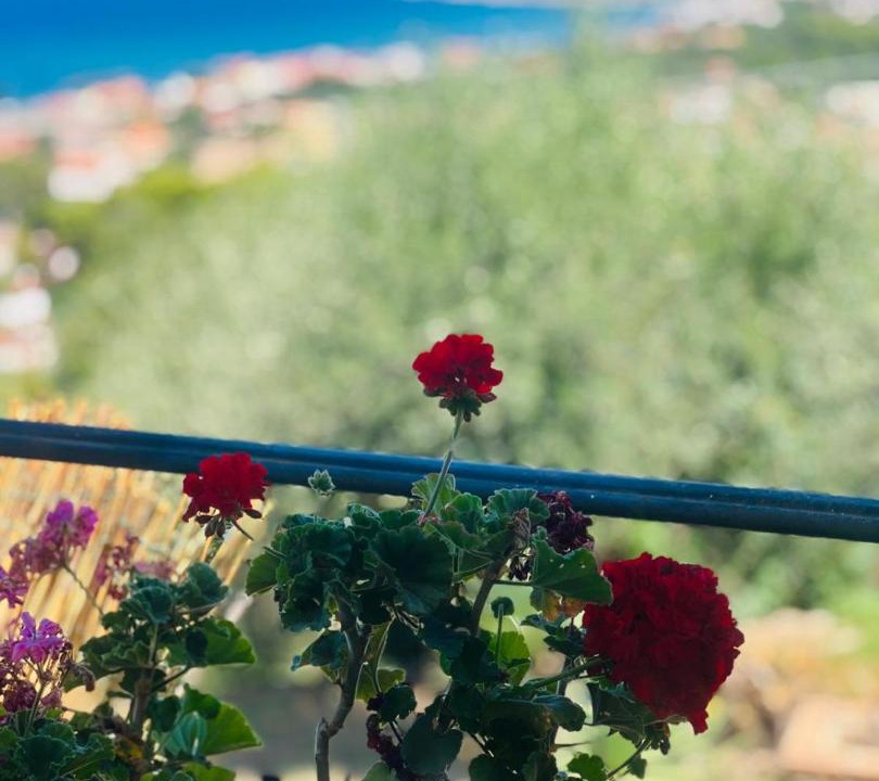 Photo of Patio Balcony in Castellabate Historic Centre