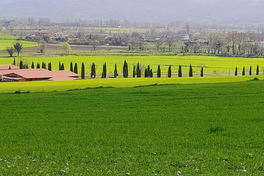 Photo of Others in Greccio