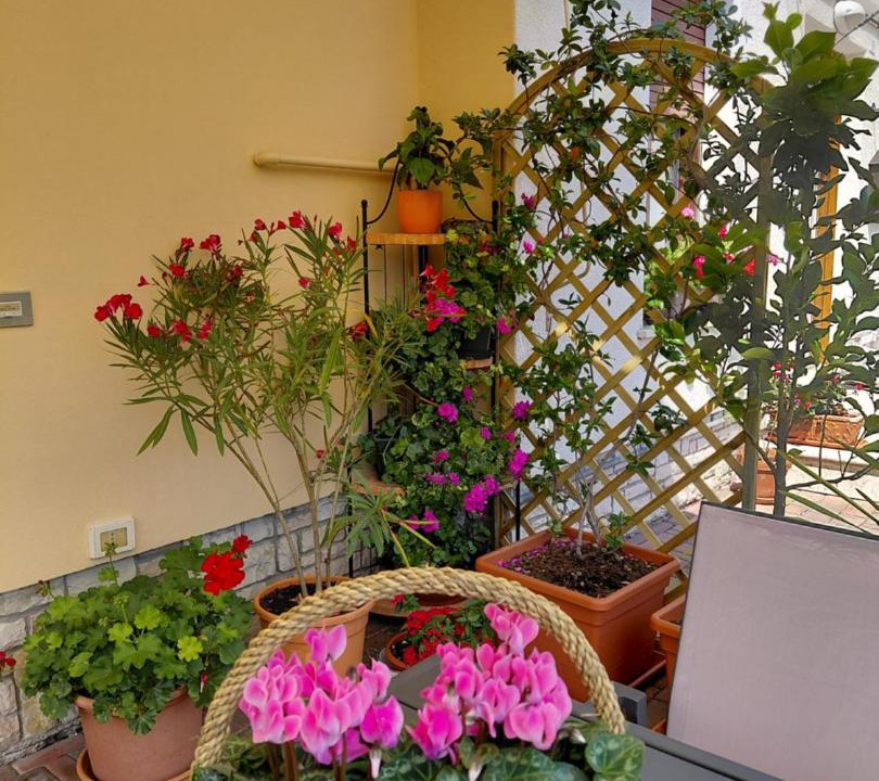 Photo of Others in Feltre
