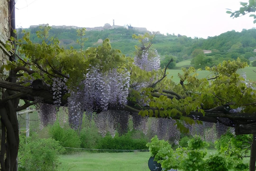 Photo of Others in Radicondoli
