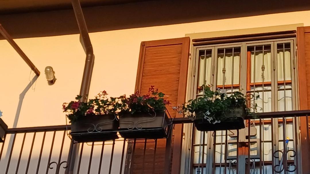 Photo of Others in Rivanazzano