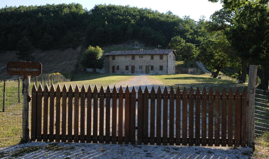 Photo of Others in Spoleto
