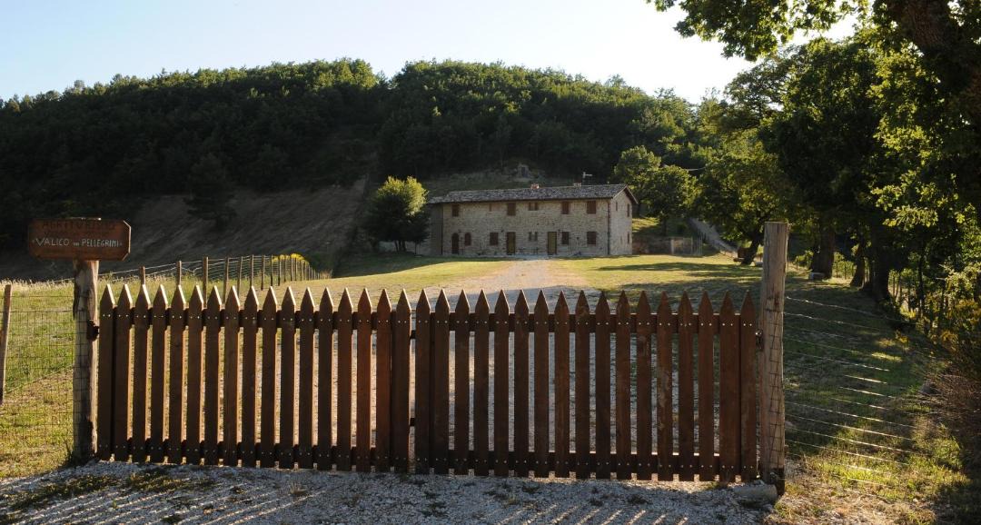 Photo of Others in Spoleto
