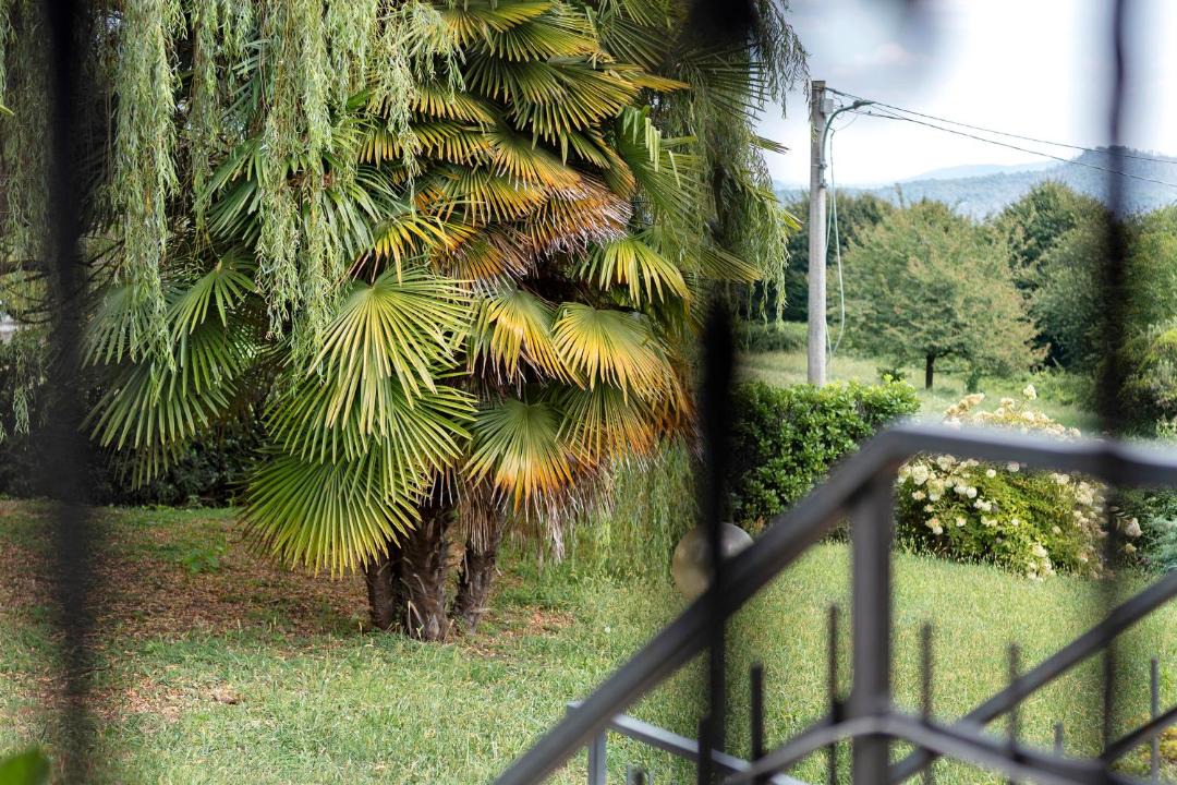 Photo of Others in Nebbiuno