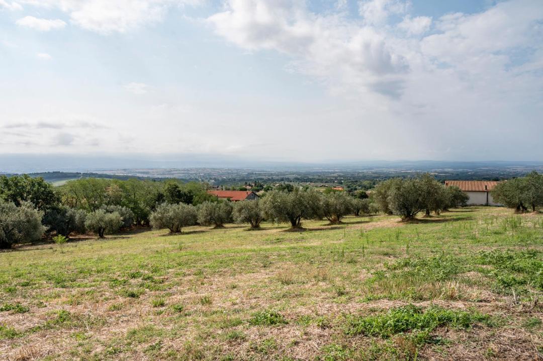 Photo of Others in Montefiascone