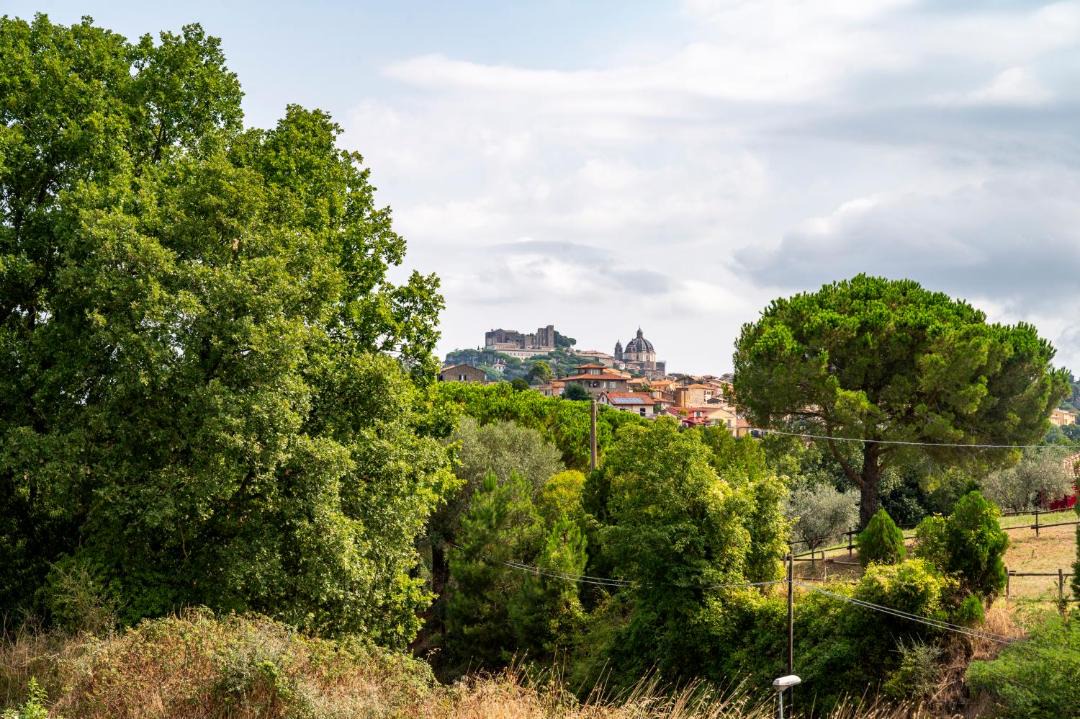 Photo of Others in Montefiascone