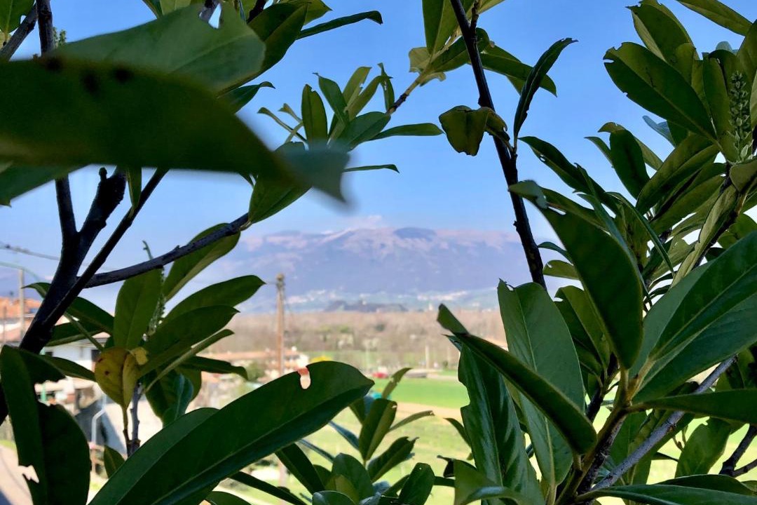 Photo of Others in Crocetta del Montello