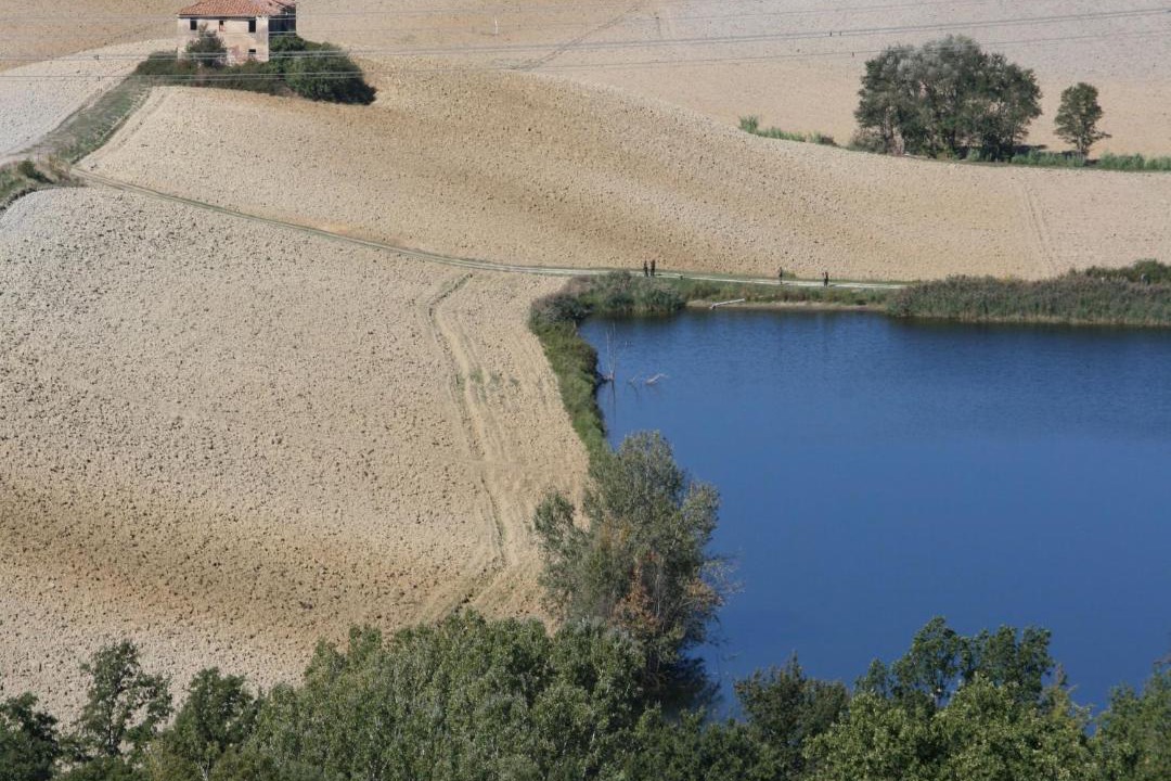 Photo of Others in Castelfiorentino