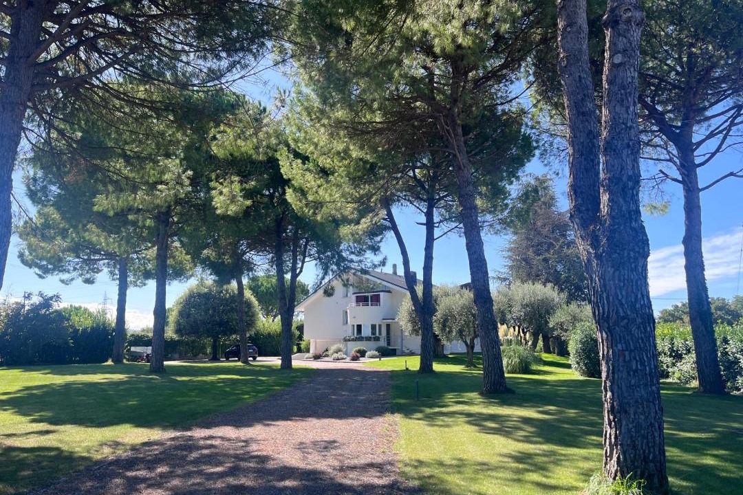 Photo of Others in Santarcangelo di Romagna