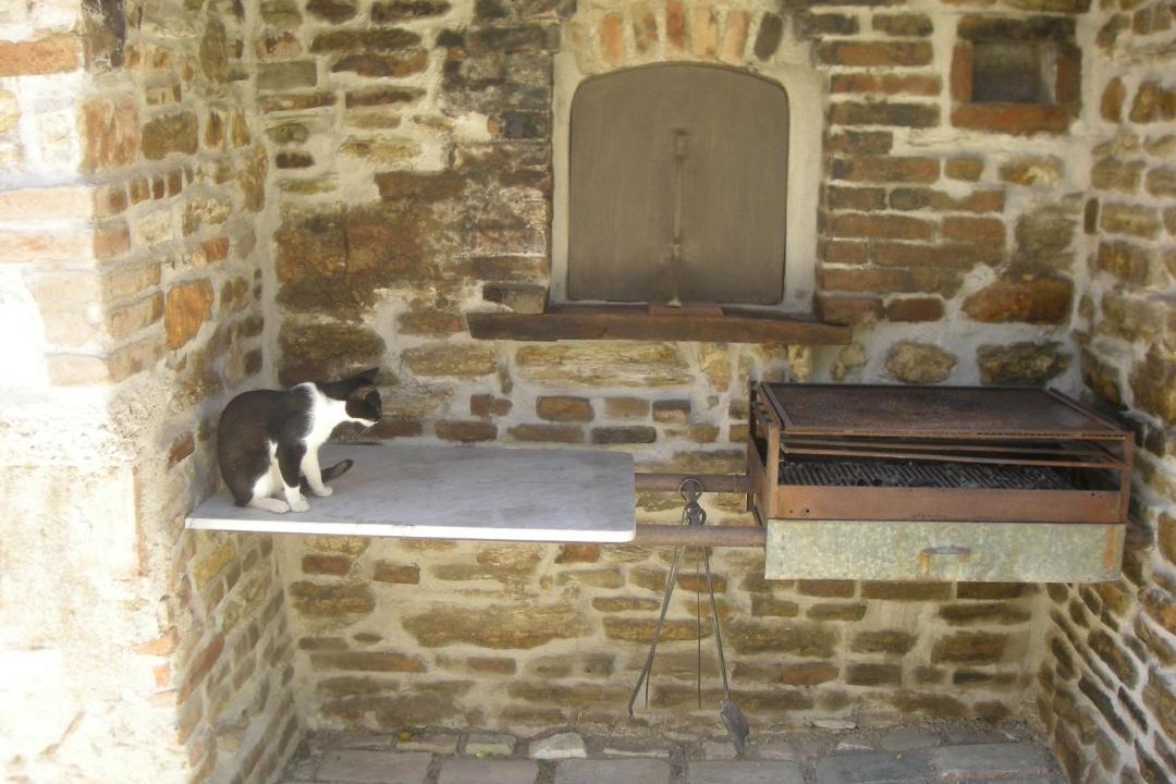 Photo of Others in Avacelli