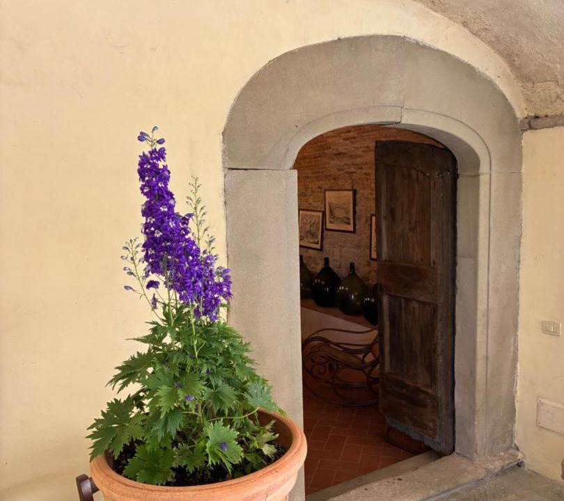 Photo of Others in Dicomano