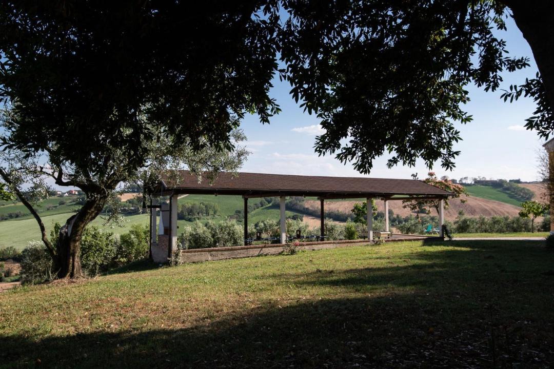 Photo of Others in Senigallia