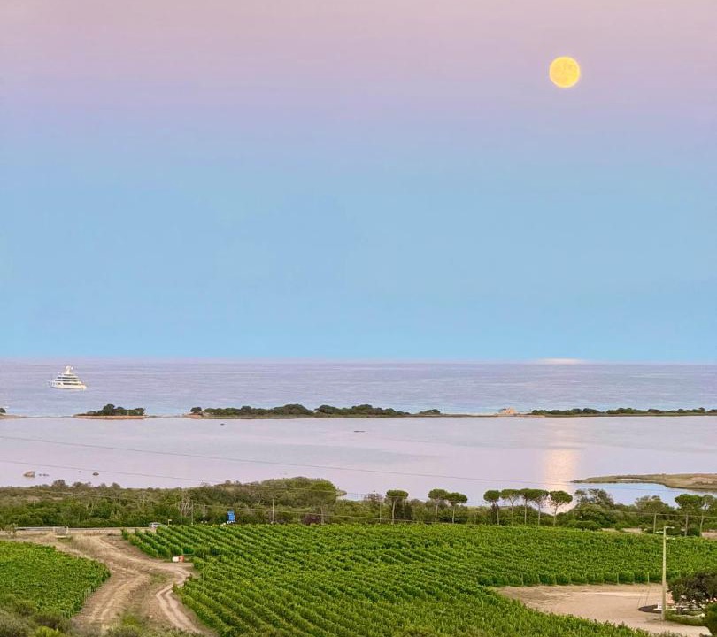 Photo of Others in San Teodoro