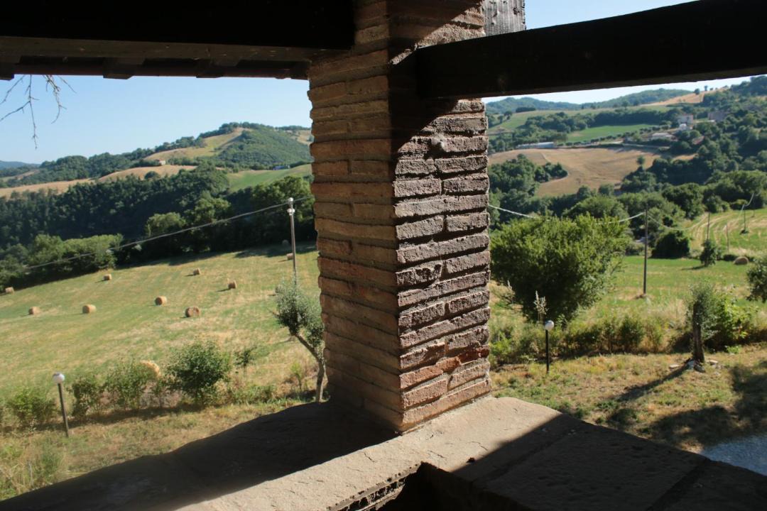 Photo of Others in Nerbisci