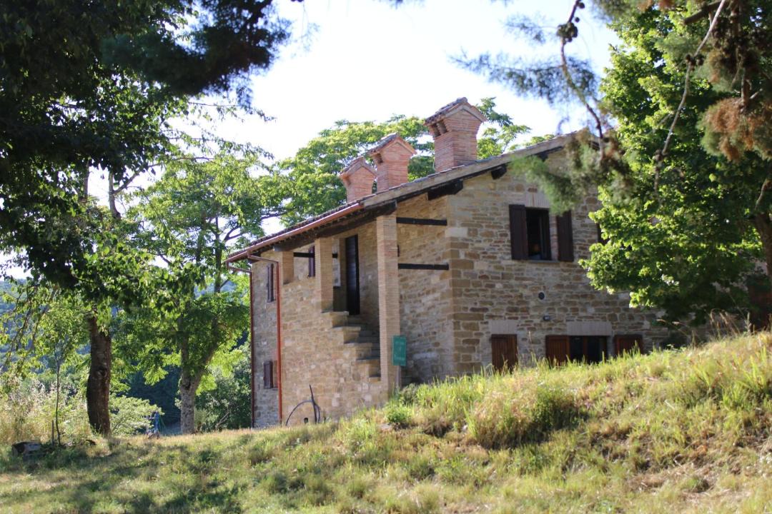 Photo of Others in Nerbisci