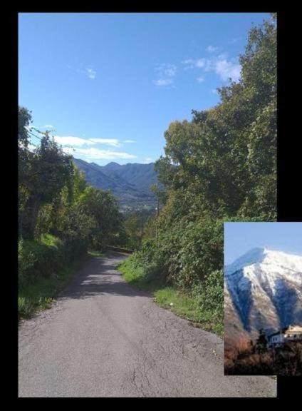 Photo of Others in Villafranca in Lunigiana