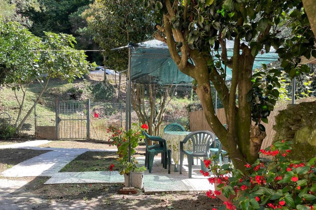 Photo of Others in Varazze