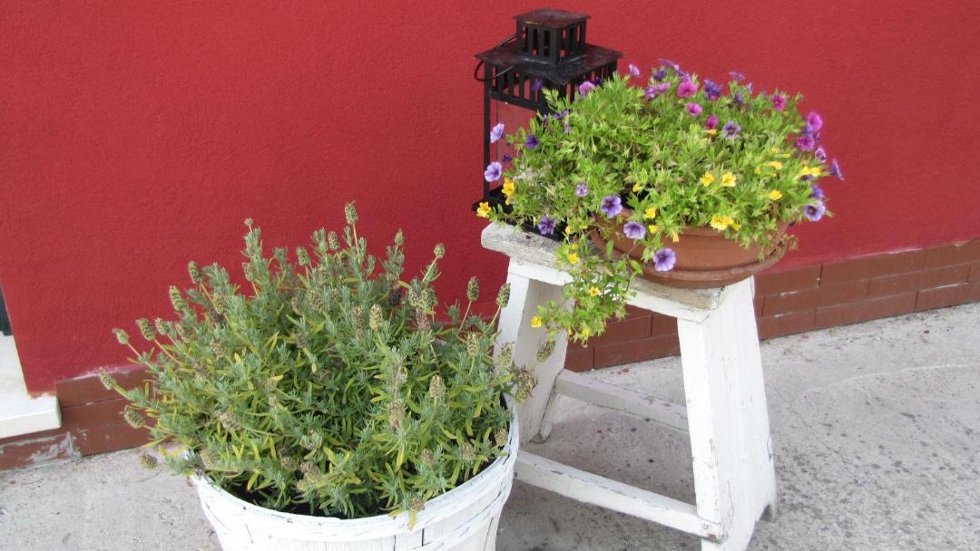 Photo of Patio Balcony in Bellombra