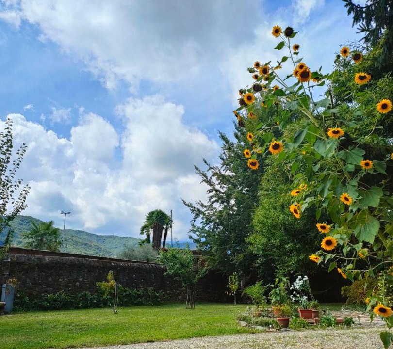 Photo of Others in Pinerolo