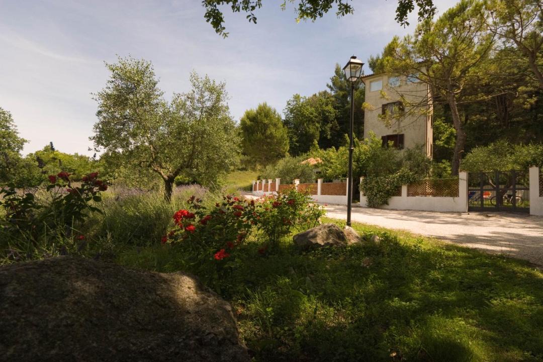 Photo of Others in Ancona