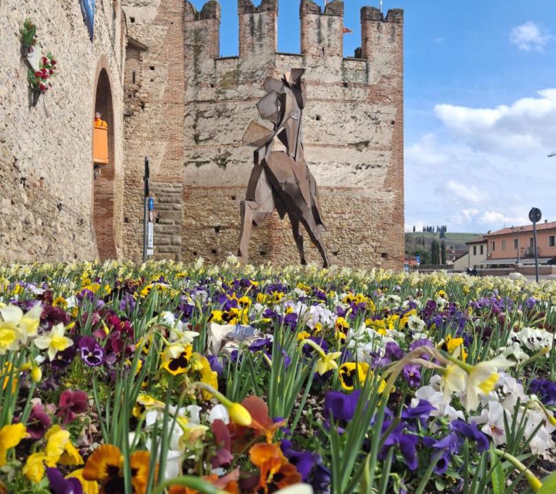 Photo of Others in Soave